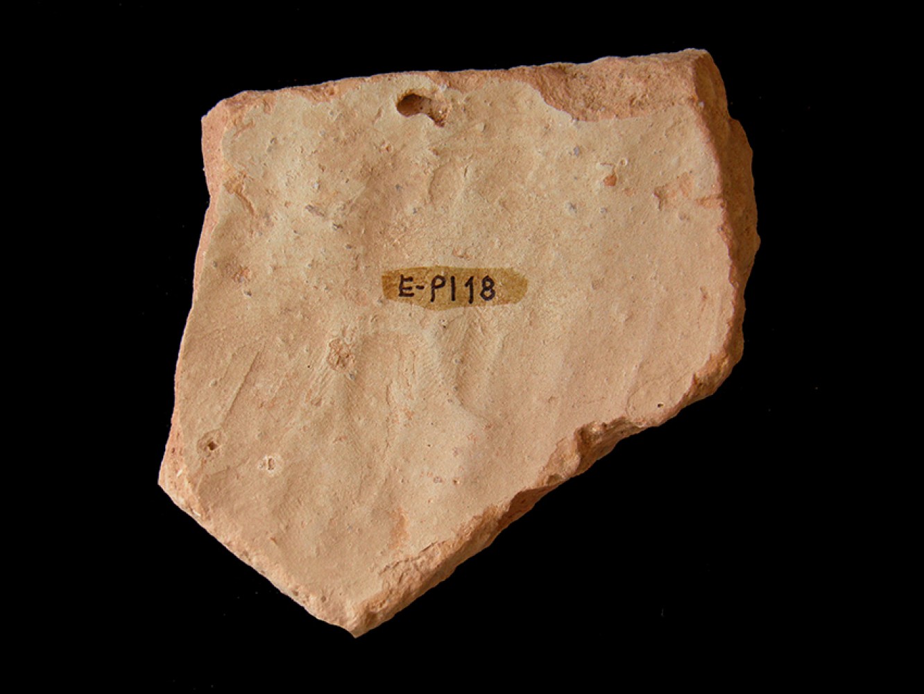 101.JPG