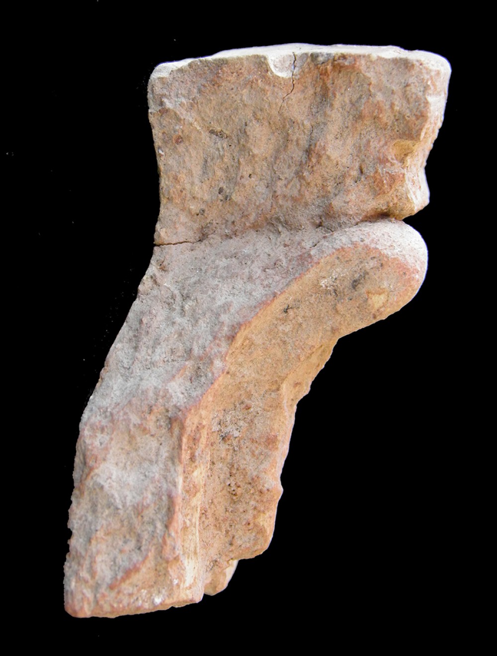 100.JPG