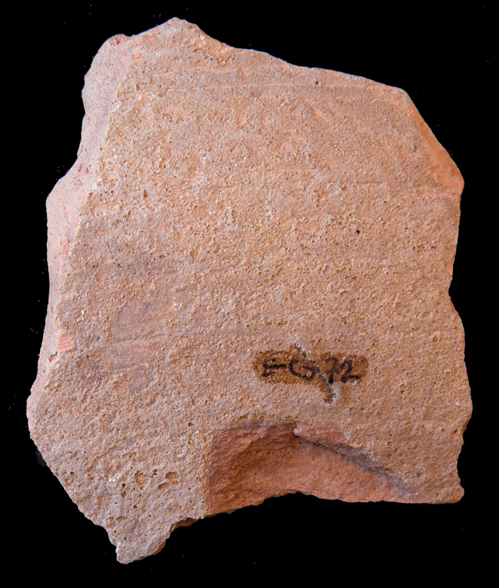 101.JPG