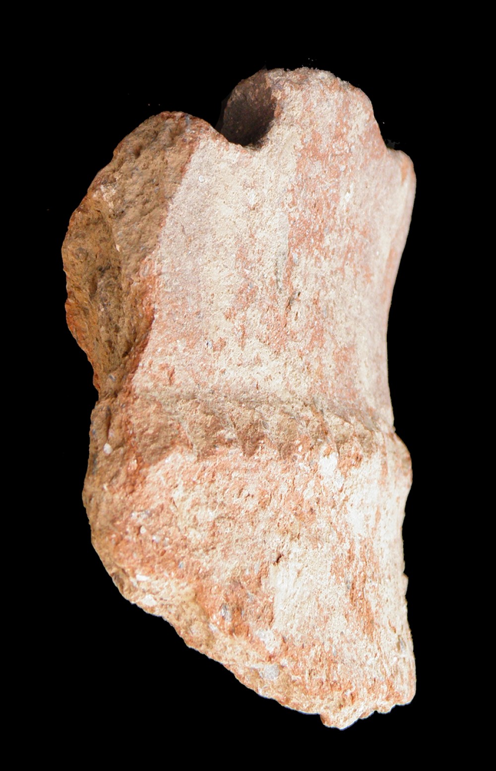 100.JPG