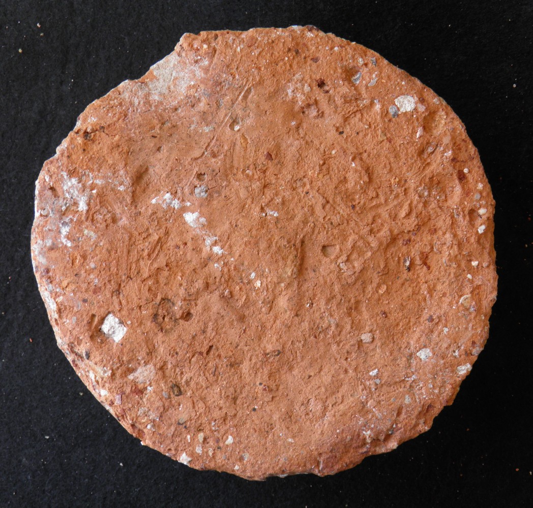 102.JPG