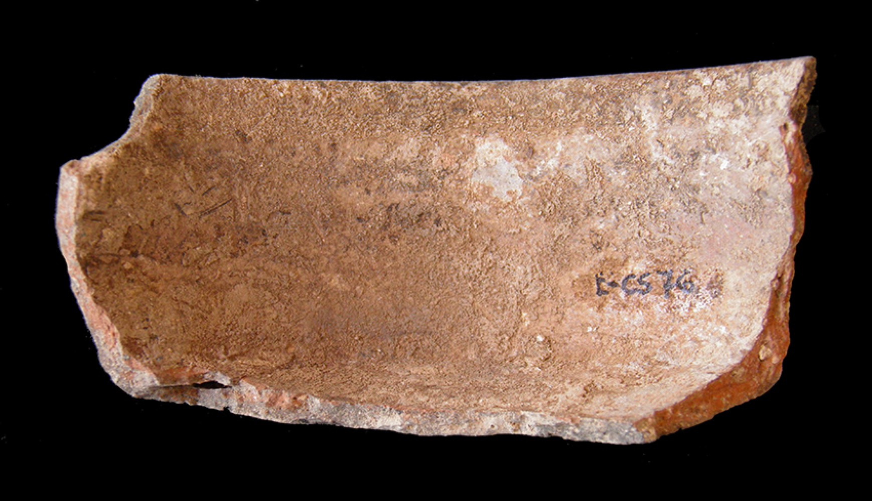 103.JPG