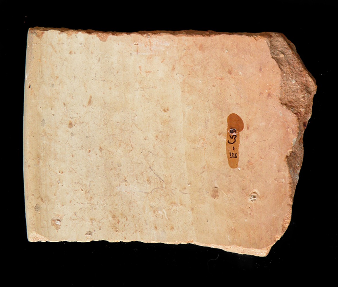 102.JPG