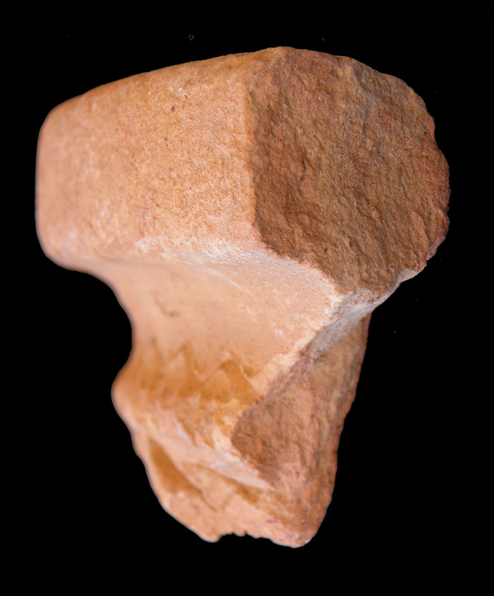 100.JPG