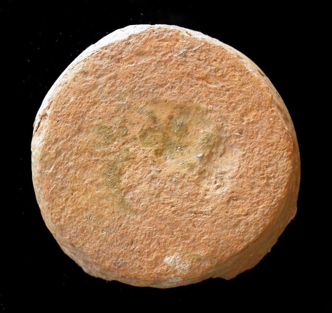 103.JPG