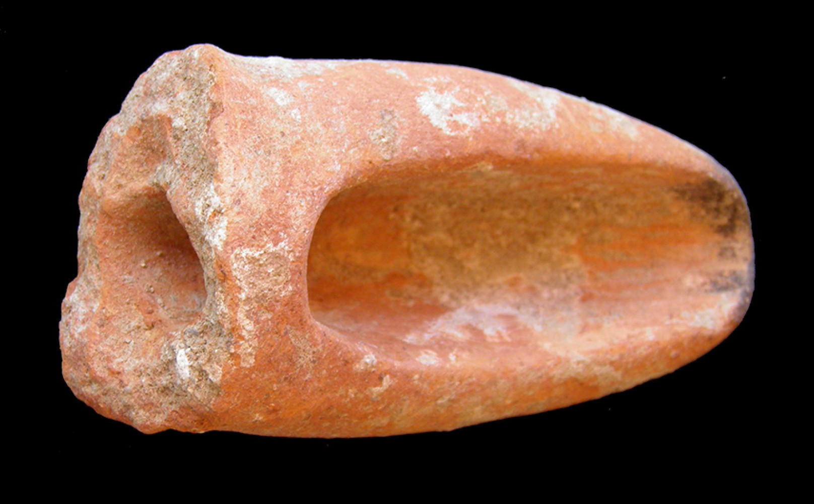 103.JPG