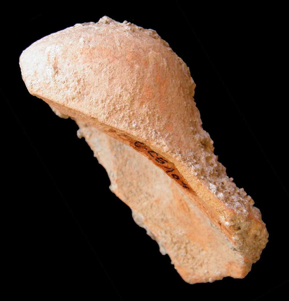 100.JPG