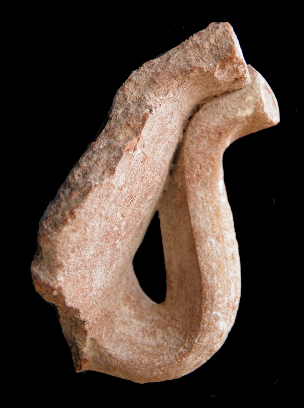 100.JPG