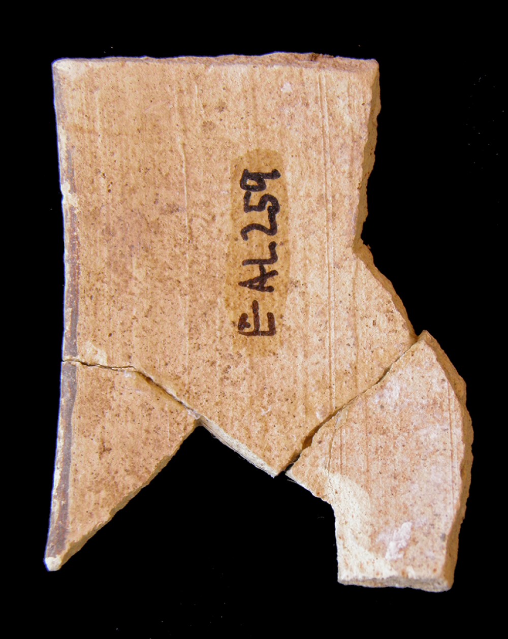 100.JPG