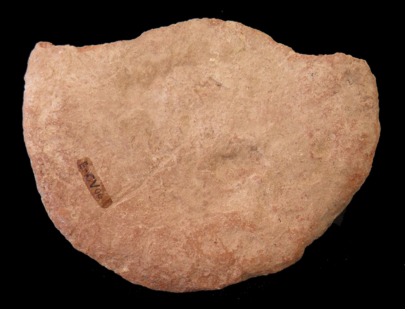 102.JPG