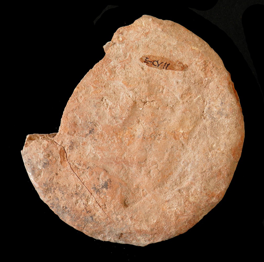104.JPG