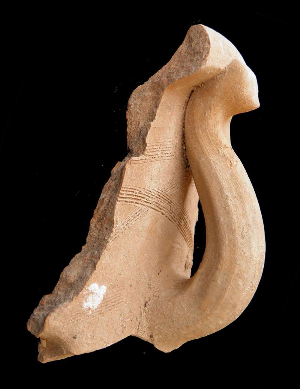 102.JPG