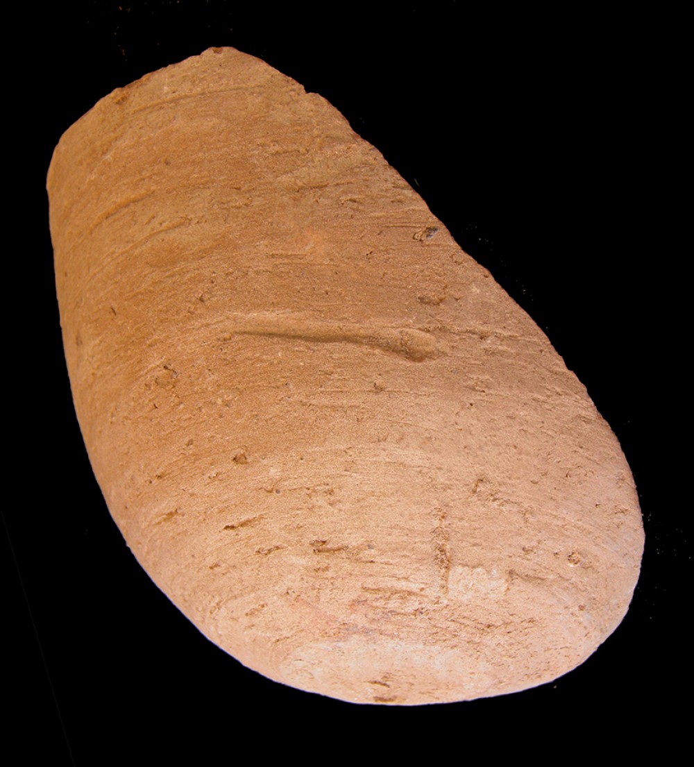100.JPG