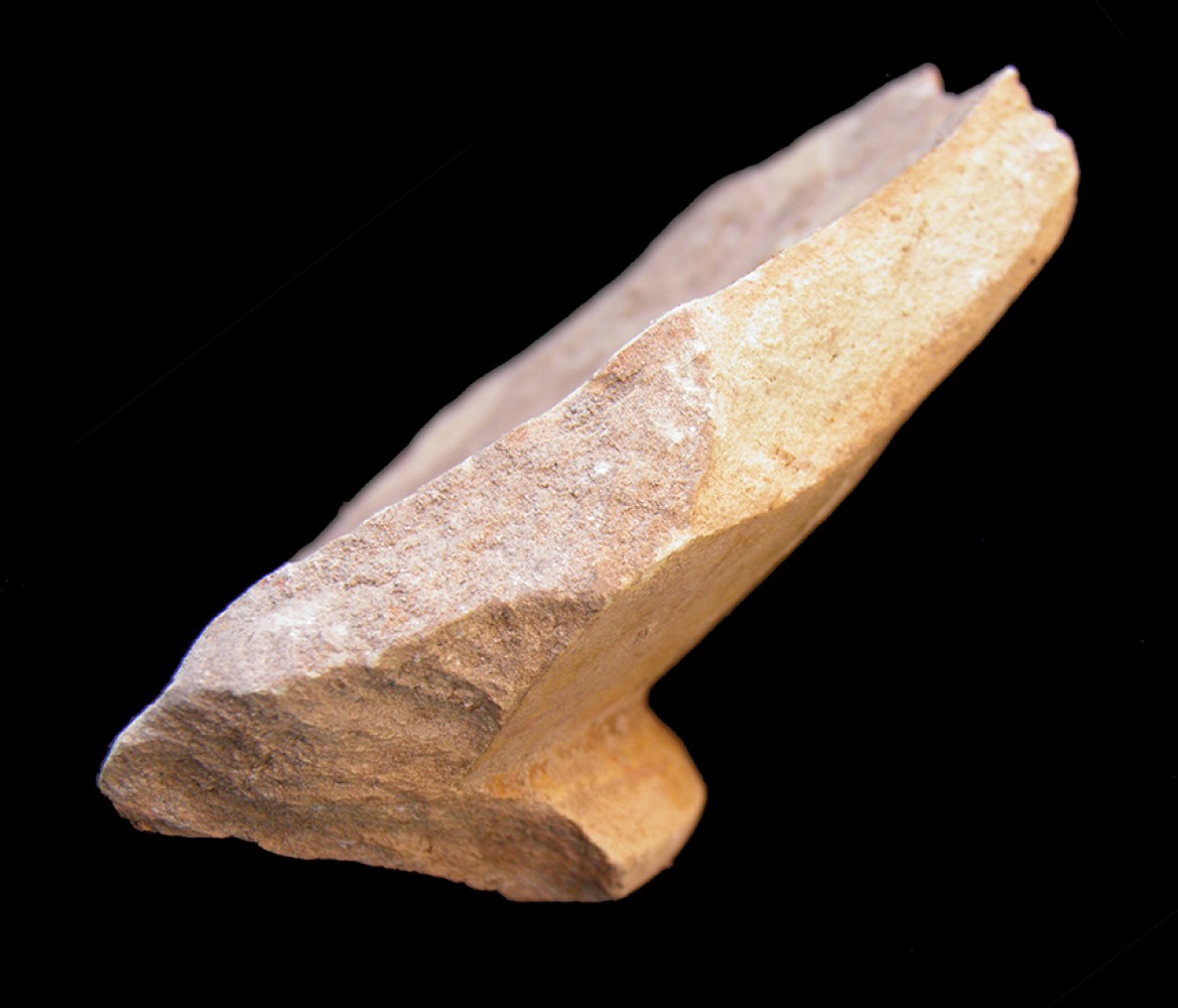 100.JPG