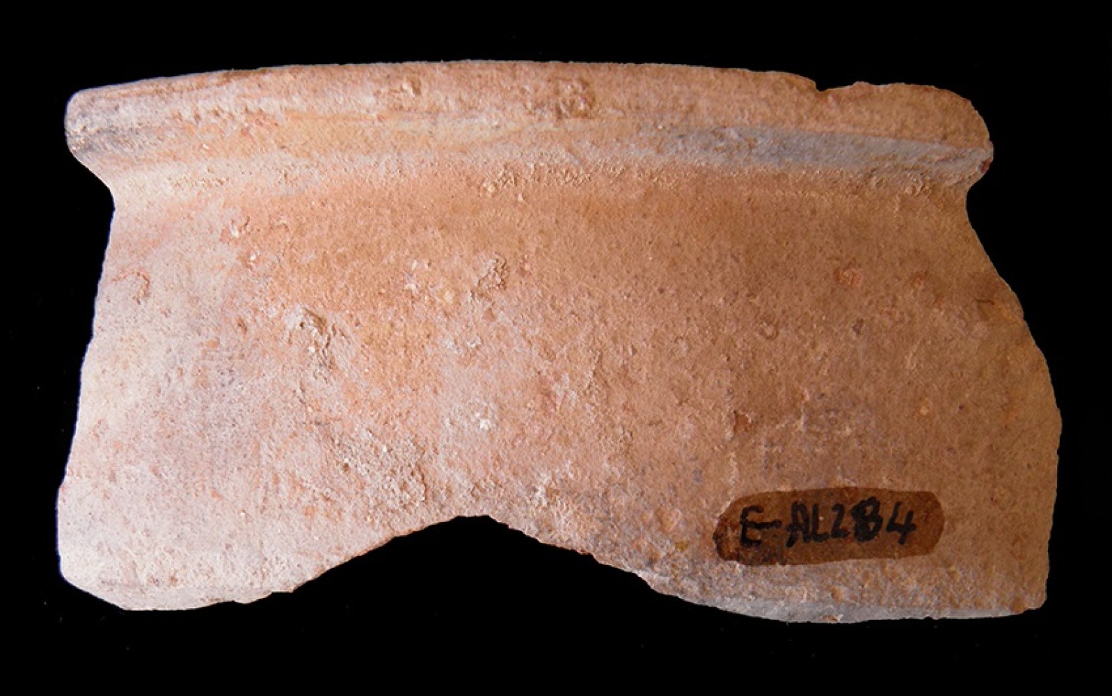100.JPG
