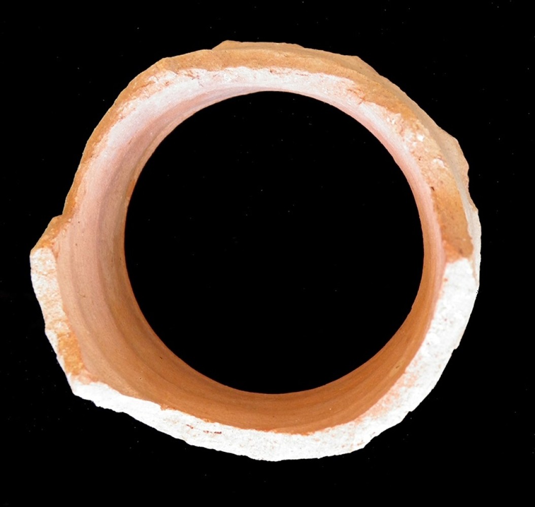 100.JPG