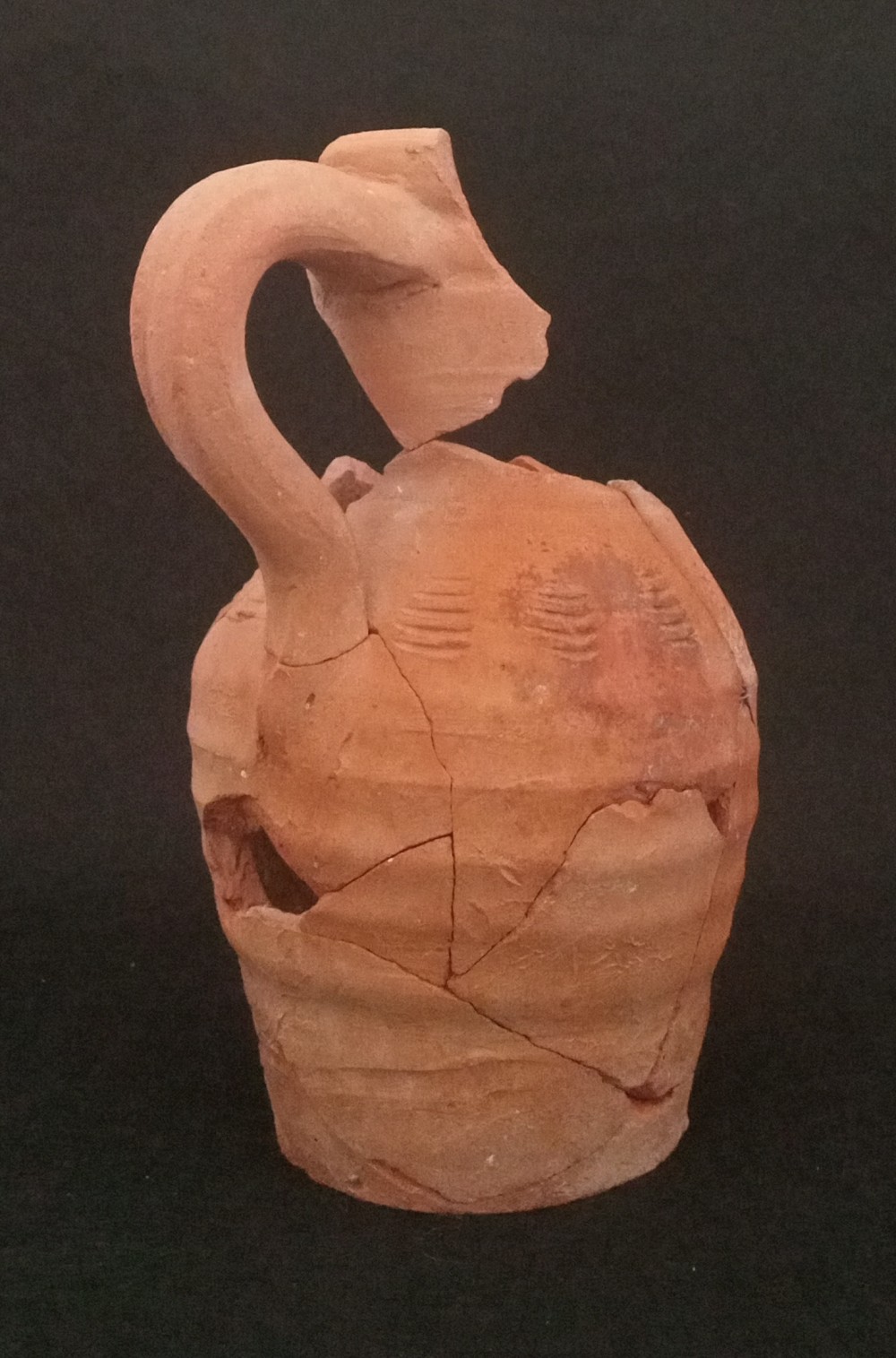 mainImage.jpg