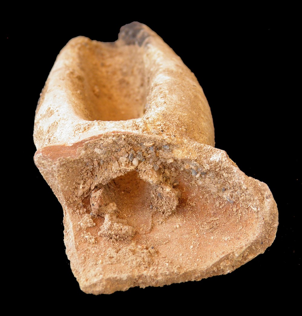 103.JPG
