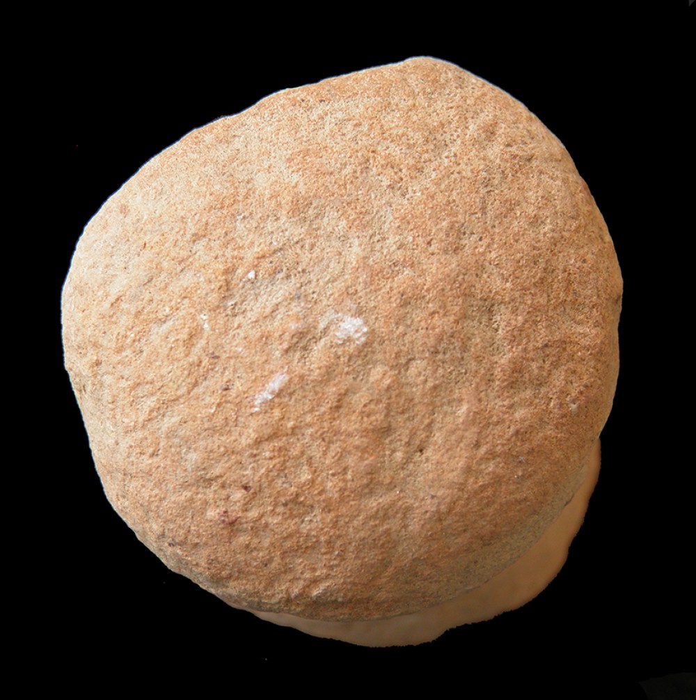 102.JPG