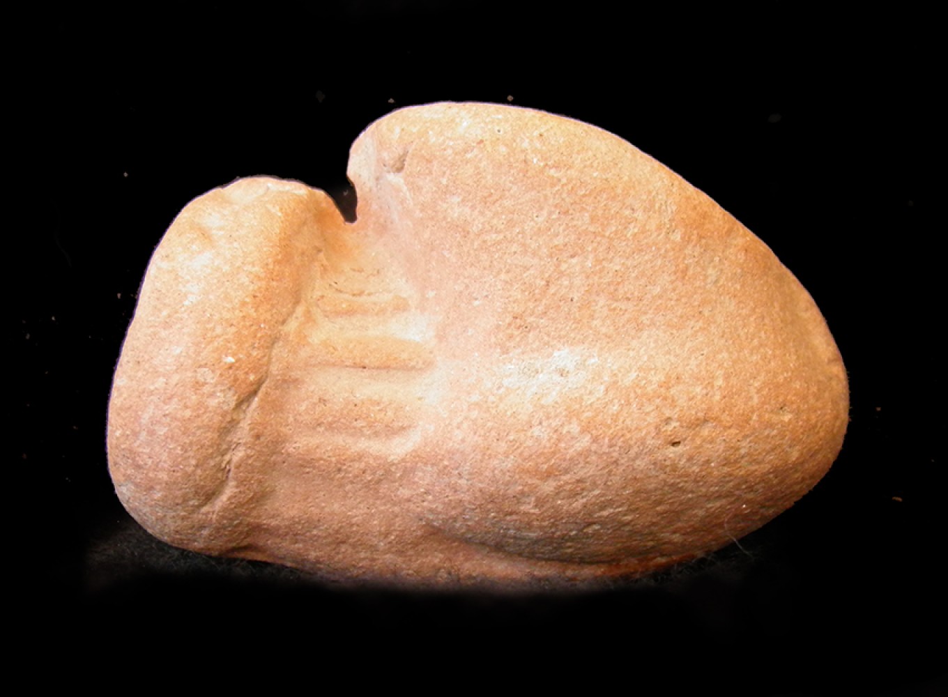 100.JPG