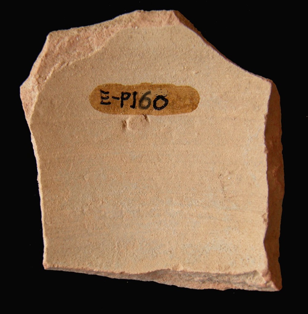 101.JPG