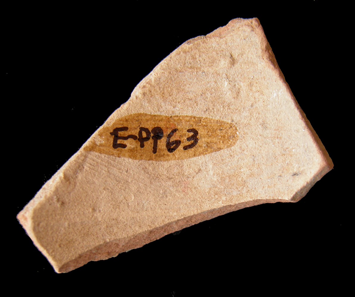 100.JPG