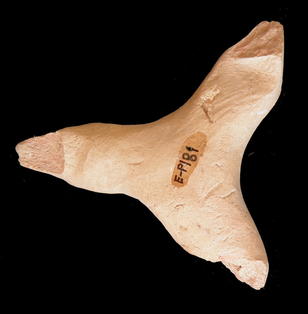 100.JPG