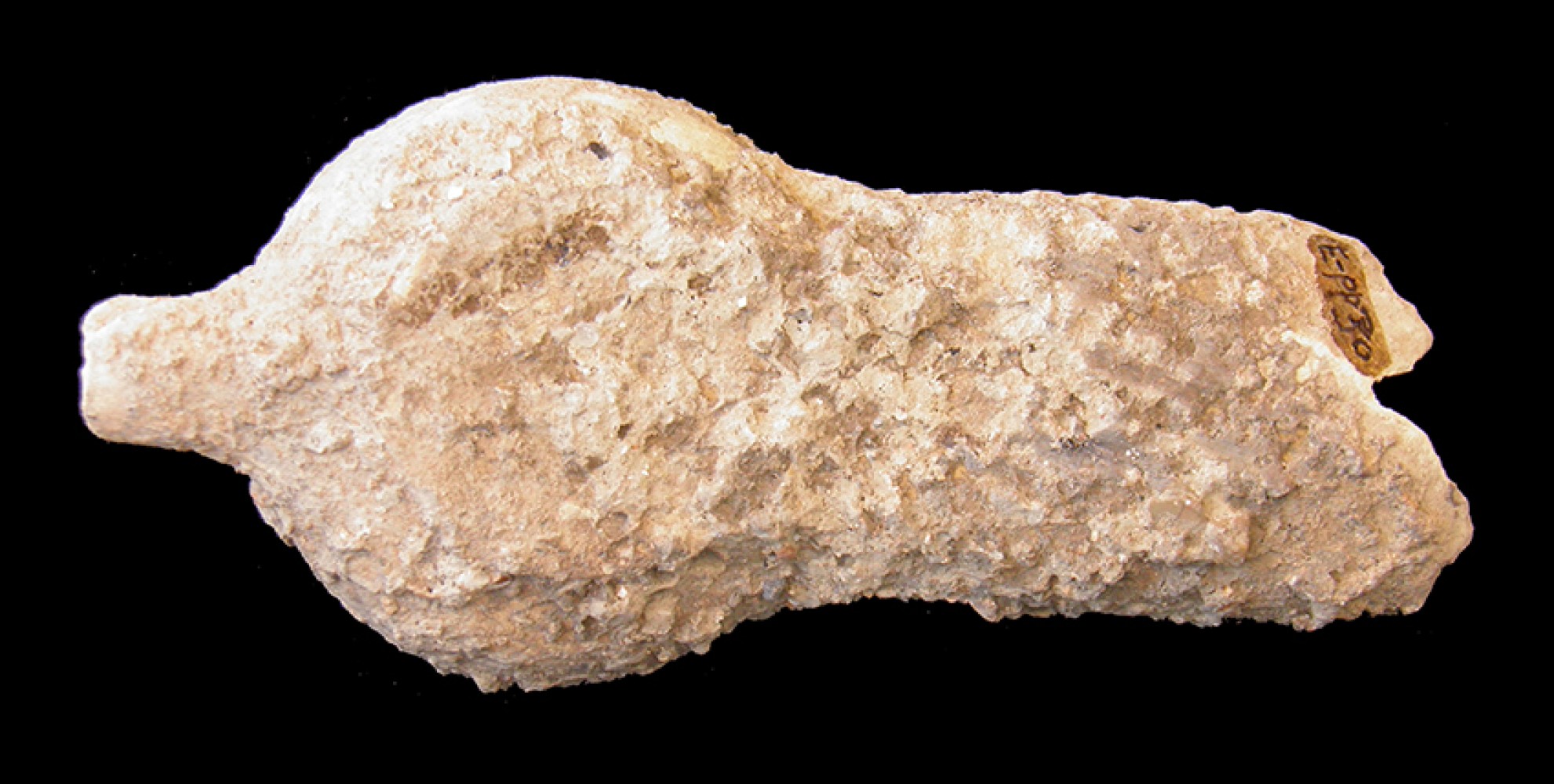 106.JPG