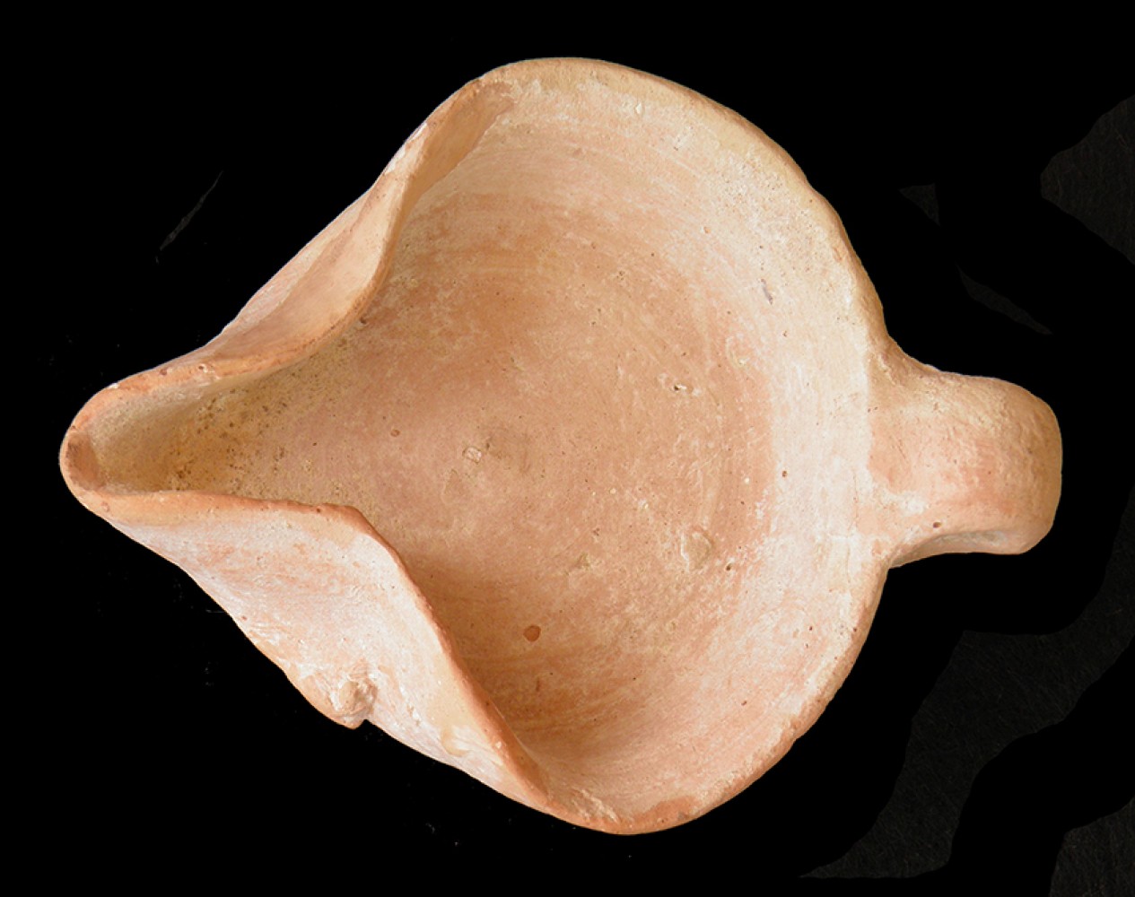 102.JPG