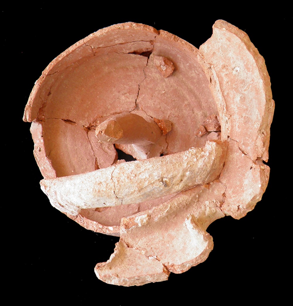 102.JPG