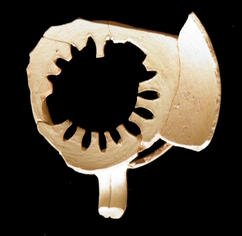 104.JPG