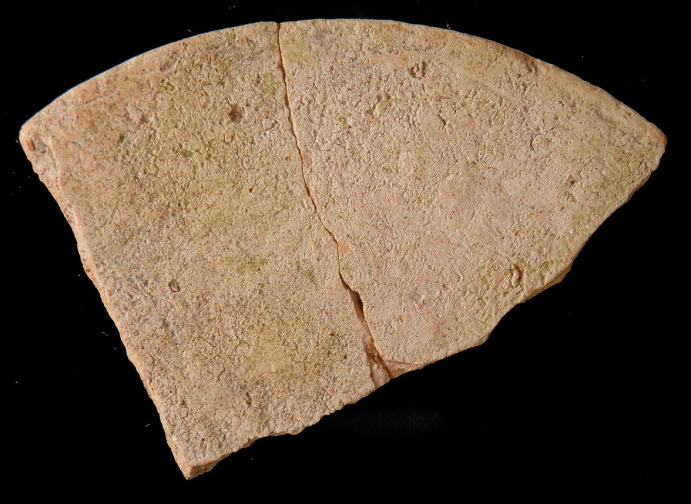 102.JPG