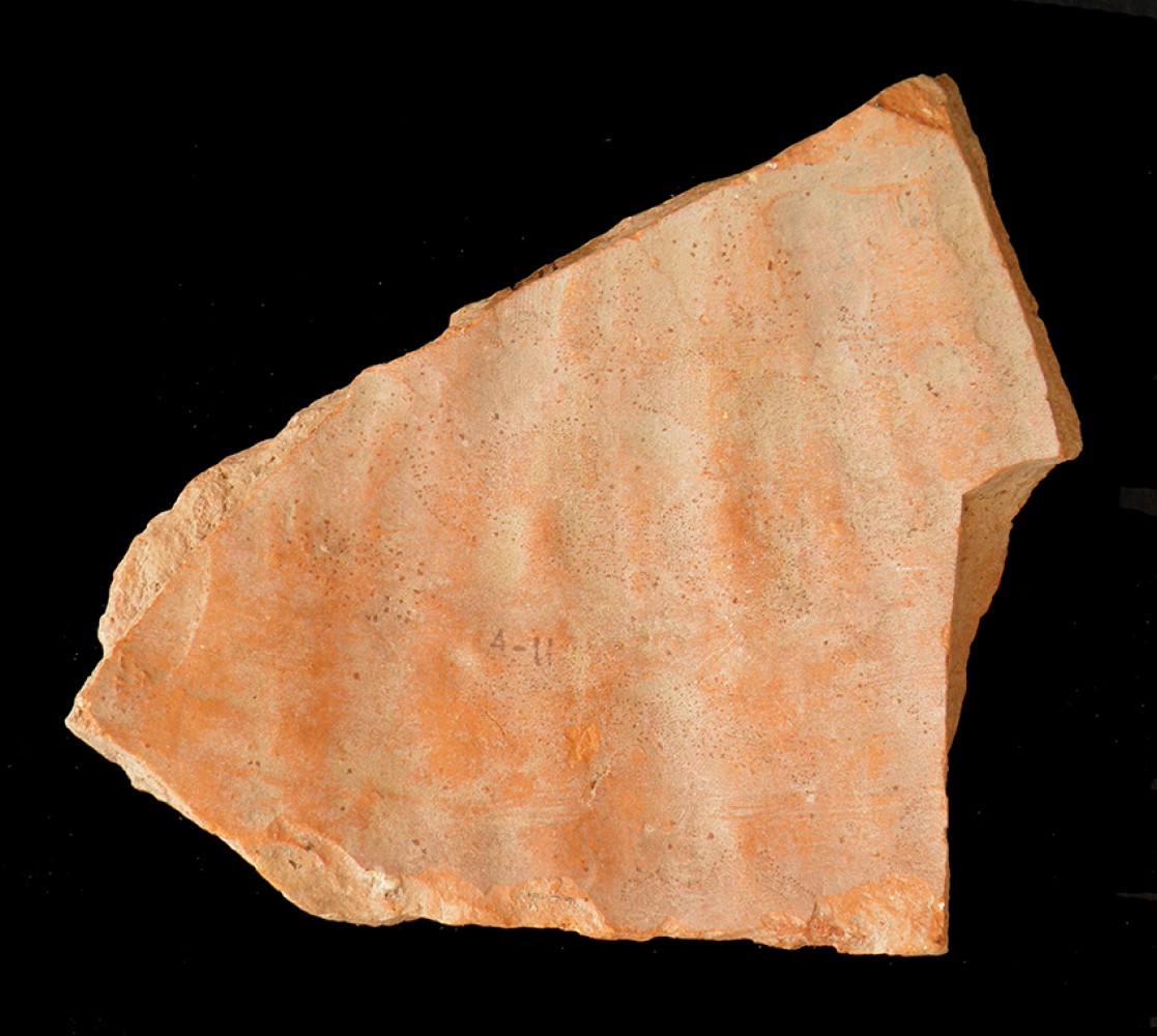 100.JPG