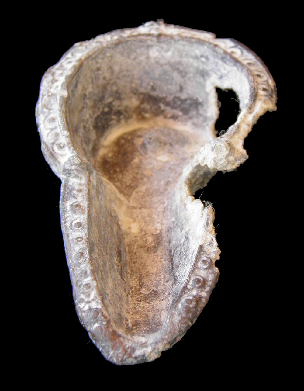 103.JPG
