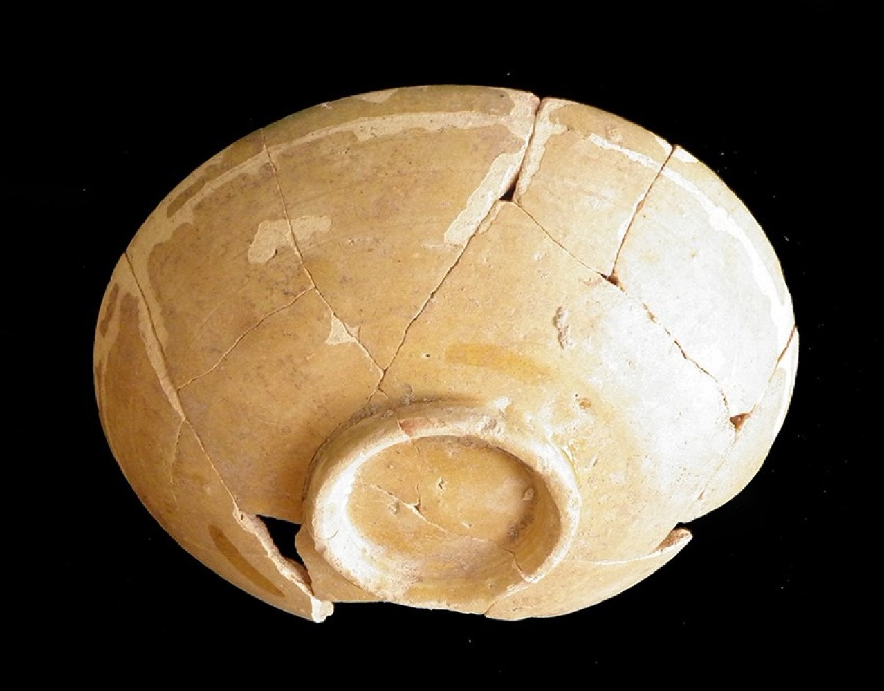 105.JPG
