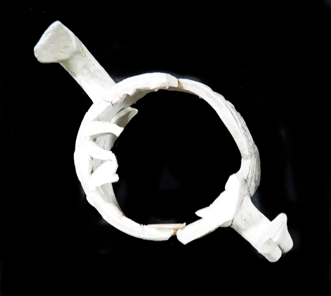 100.JPG