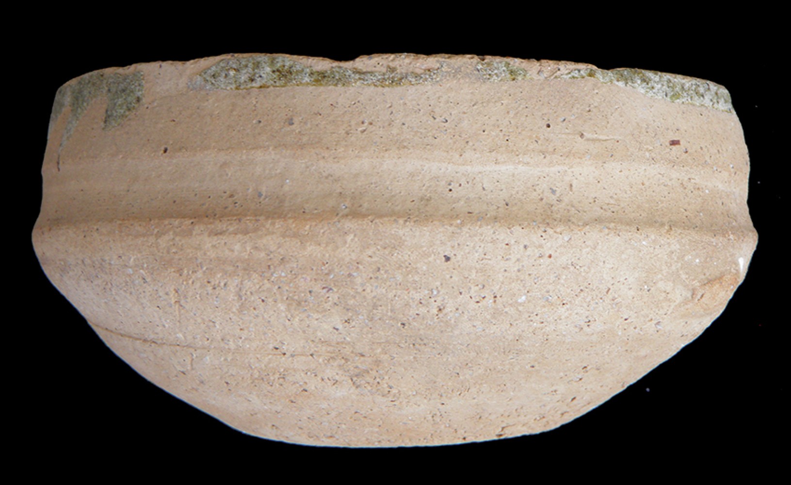 102.JPG