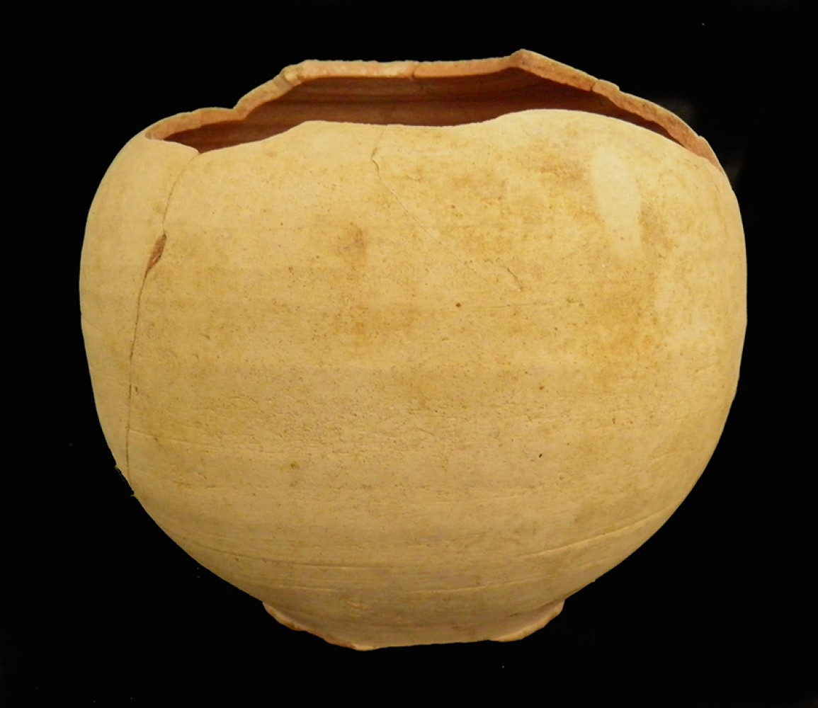 100.JPG