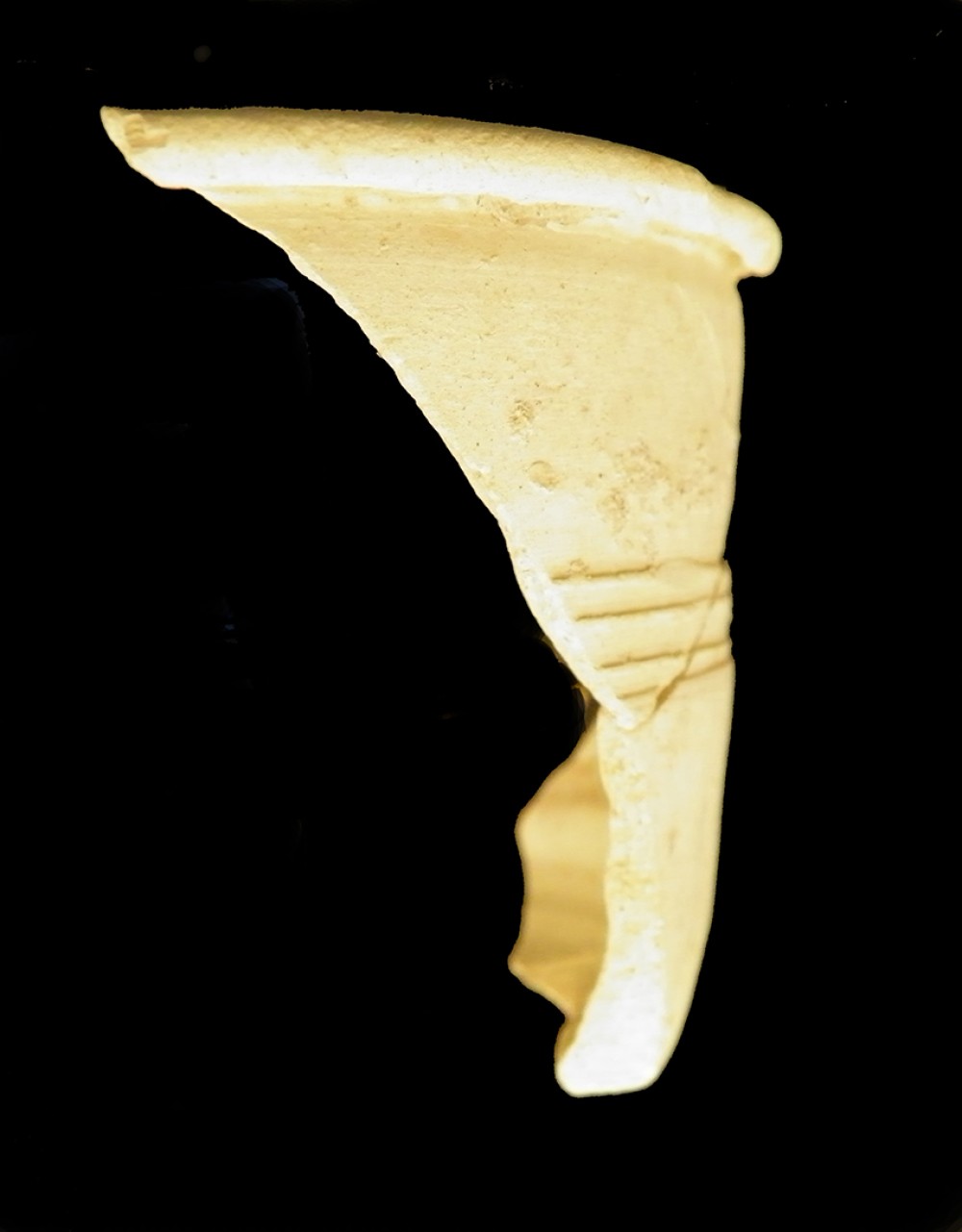 102.JPG