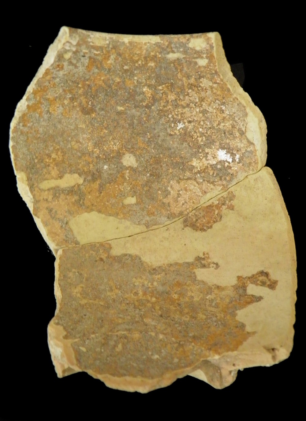 102.JPG