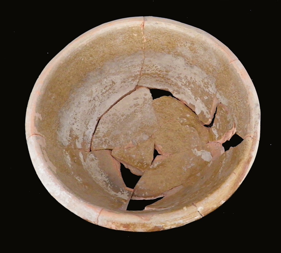 102.JPG