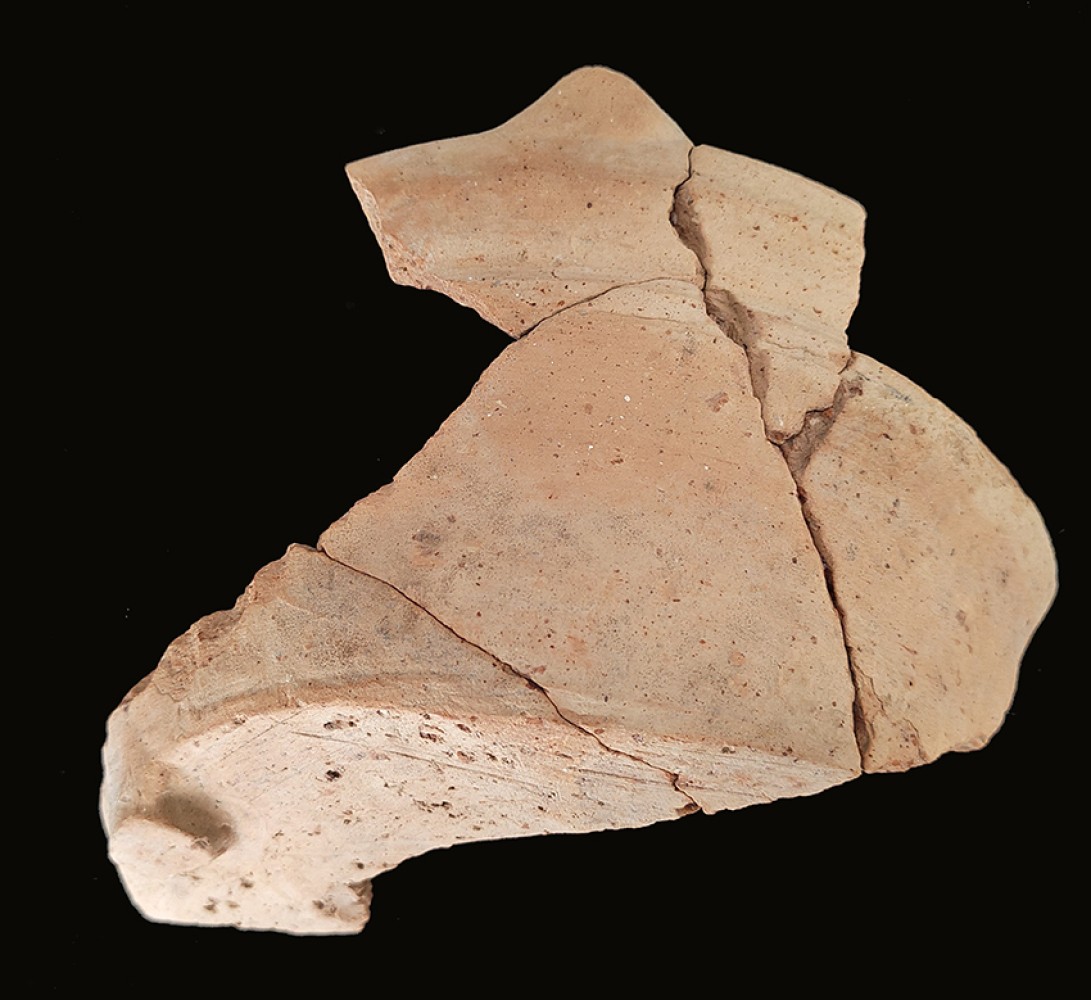 103.jpg