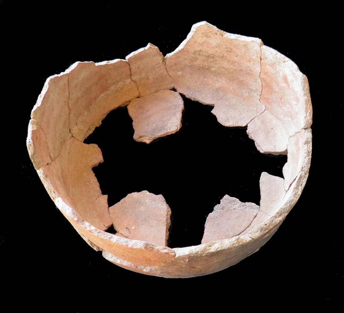 100.JPG