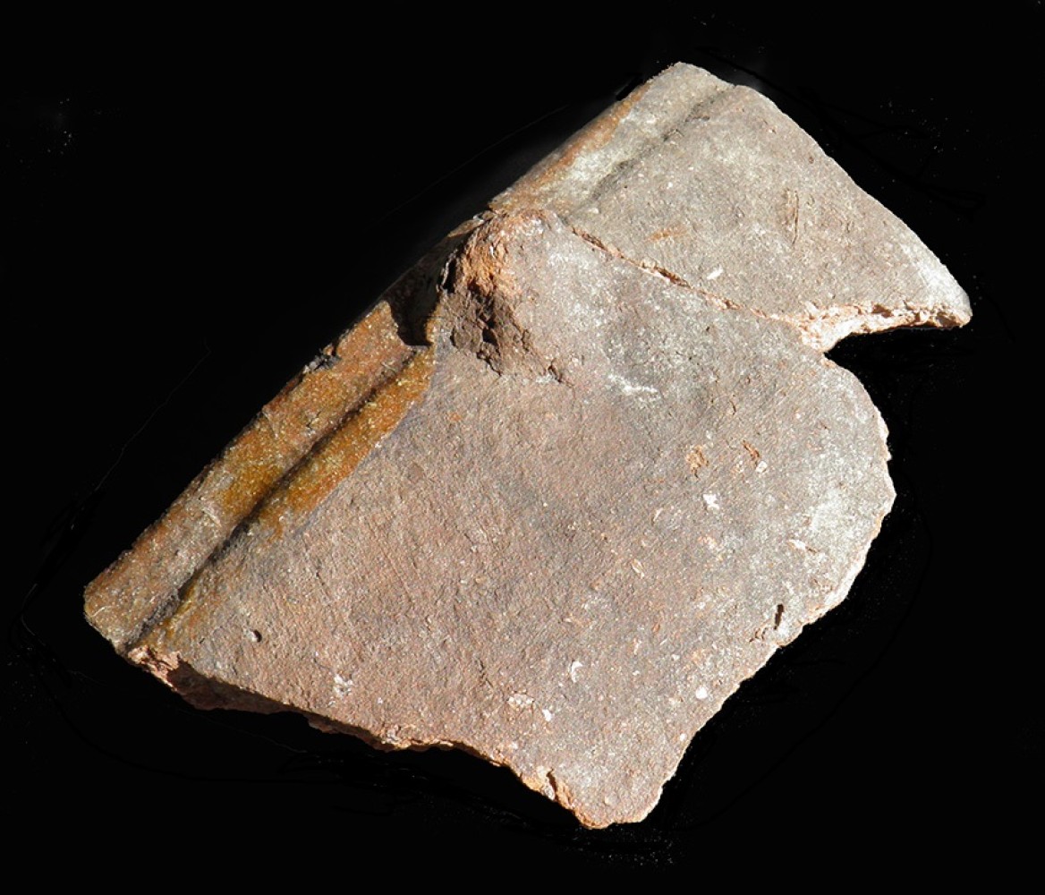 102.JPG