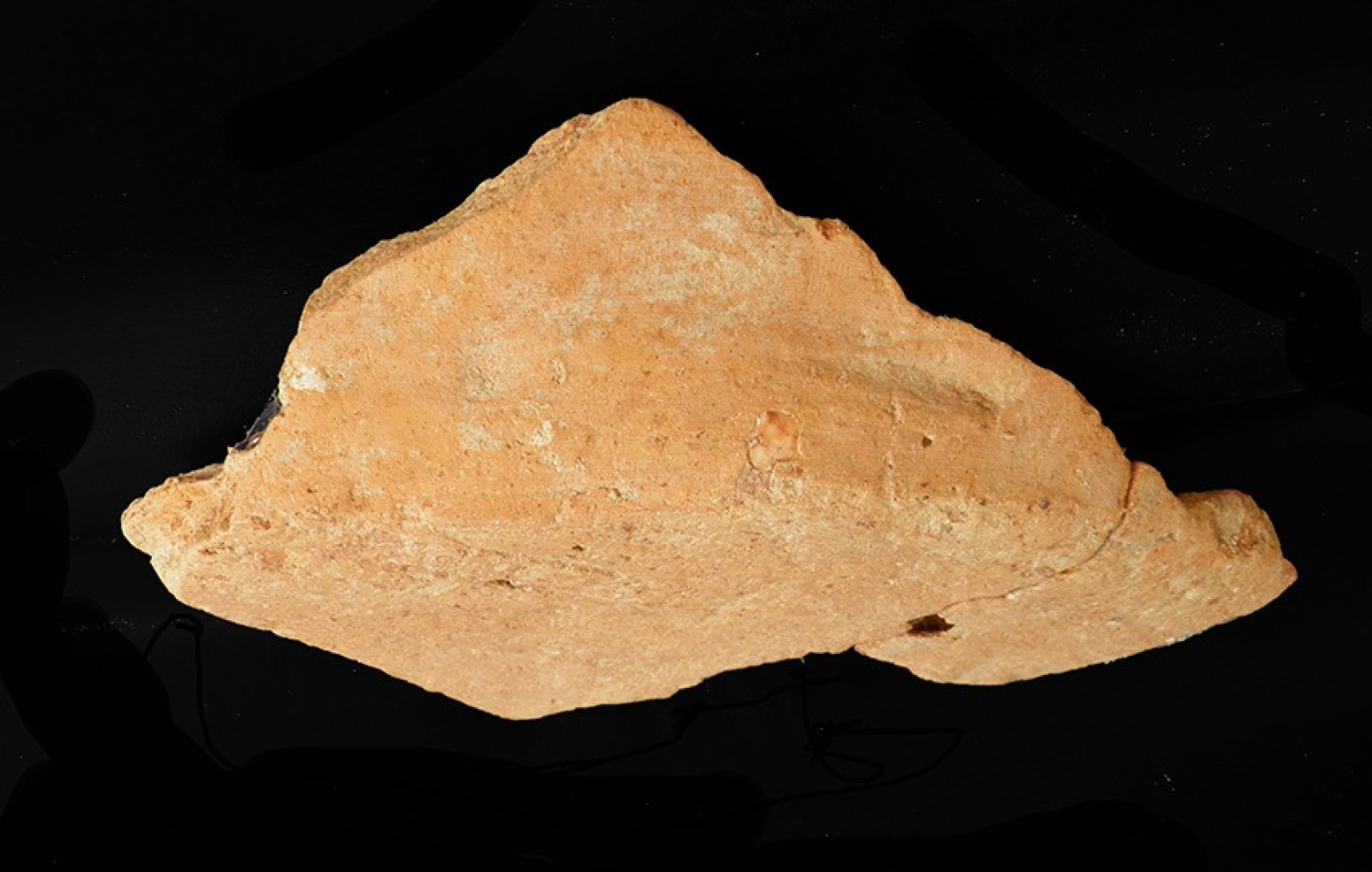 105.JPG
