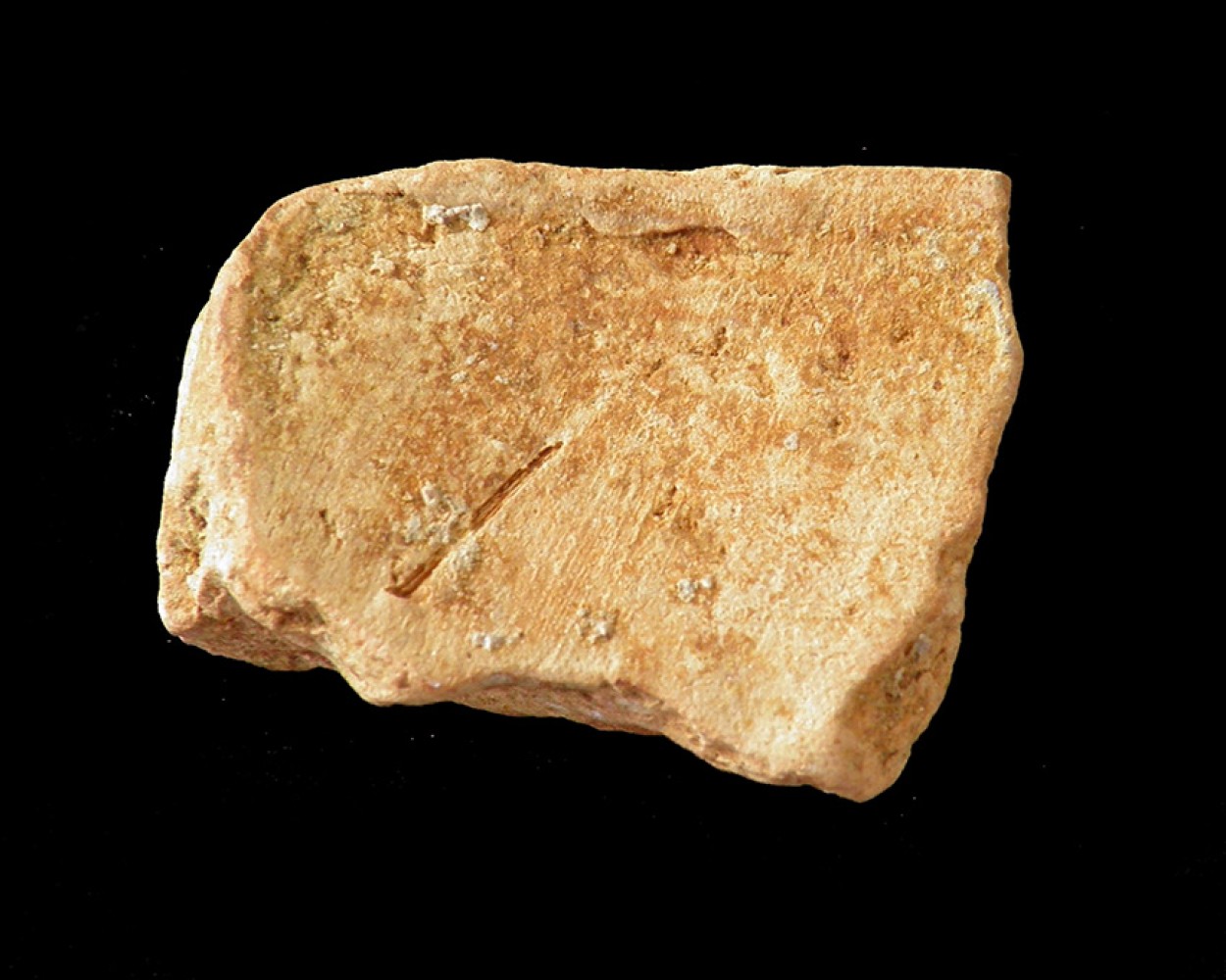 102.JPG