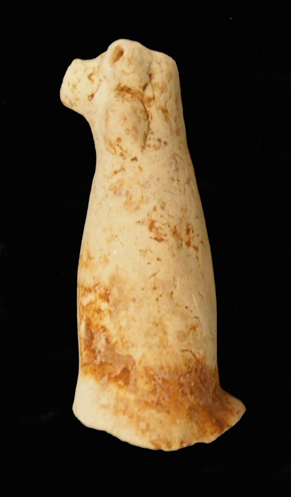 100.JPG
