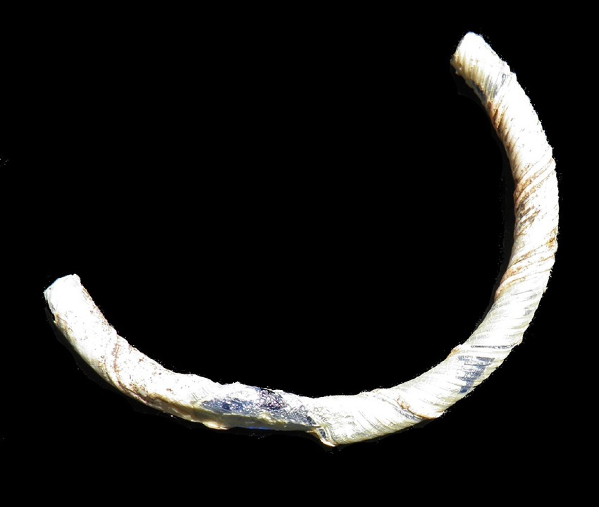 100.JPG