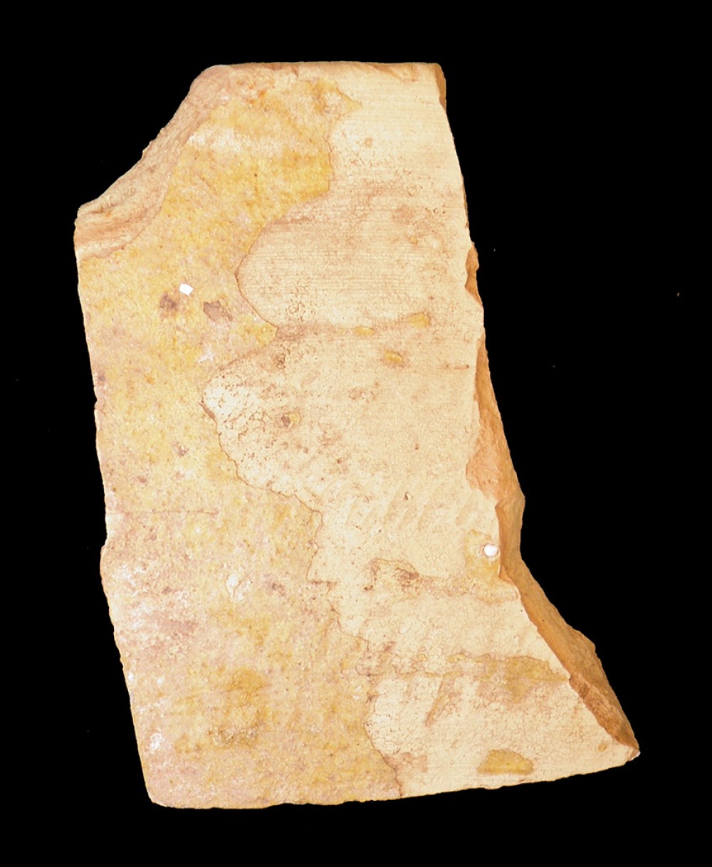 102.JPG