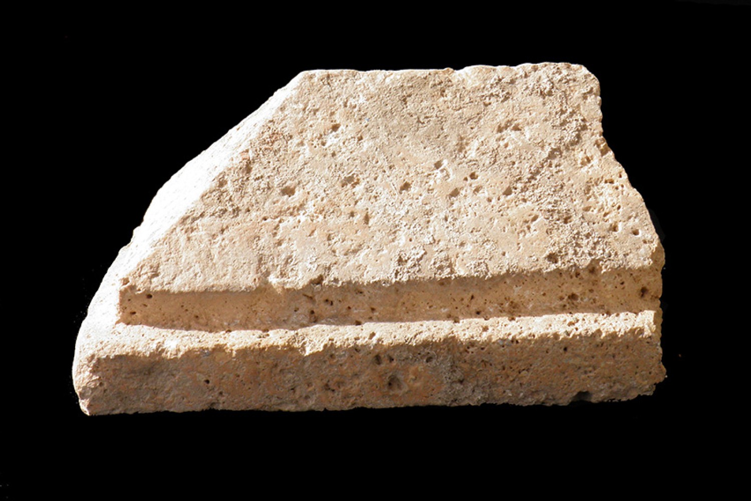 100.JPG